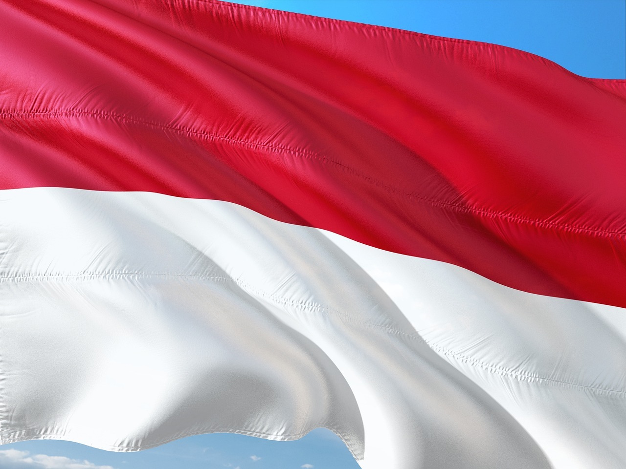 Novika Ayu Eko Kusumastuty, Pegawai BMKG Diduga Hina Lagu Indonesia Raya